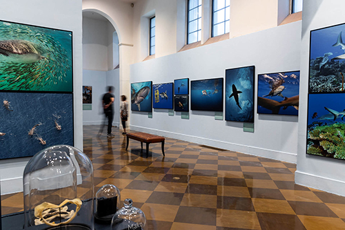 This image is used for Fullerton Museum Center link button