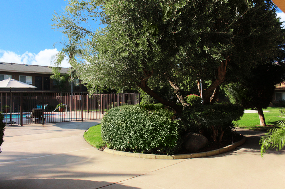 This image is the visual representation of Exteriors 7 in Ambassador Inn Apartments.